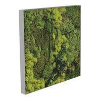 Cadre végétal n 20 Gris - Image principale