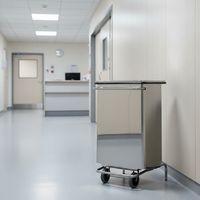 Conteneur mobile à pédale front amovible Inox brillant 70L - Image 2