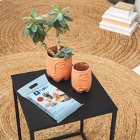 Fimo Air 1kg - terracotta - Image 2