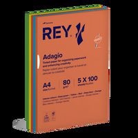 Ramette 500 feuilles A4 80g 5 teintes vives assorties - Image principale