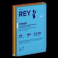 Ramette 250 feuilles A4 160g 5 teintes vives assorties - Image principale