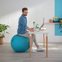 Ballon d'assise Ergo Cosy Active Bleu - Image 2