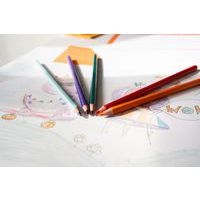 Etui 12 crayons 17,5 cm Tropicolor Bic - Image 2