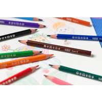 Classpack 144 crayons de couleurs Bic - Image 4