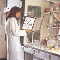 Colonne avec pince pour support Tarifold - Nb de pochettes:20 - Gris - Image 6