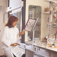 Colonne avec pince pour support Tarifold - Nb de pochettes:20 - Gris - Image 4