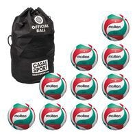 Lot de 10 ballons de volley Molten V5M5000 + sac de rangement - Image principale