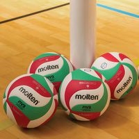 Lot de 10 ballons de volley Molten V5M5000 + sac de rangement - Image 4