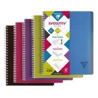 Linicolor Evolutiv'Book 22,5x29,7cm 240p ligné + marge cadré perfo. 4 trous - Lot de 5 - Image principale