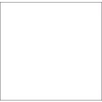 Lot de 30 Étiquette pour pince Proline XL Blanc - Image principale