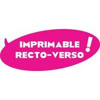 Plastique fou DIAM'S 5 feuilles blanc imprimable - Image 3