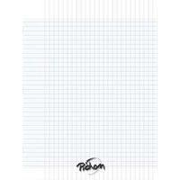 Cahier polypropylène 48 pages Seyes 24x32 cm 80g incolore - Image principale