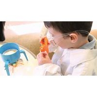 Lot de 6 pinces enregistreuses - Image 2