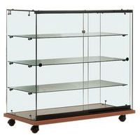 Vitrine Easy E146 - Image principale