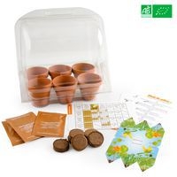 Serre de germination - Image principale