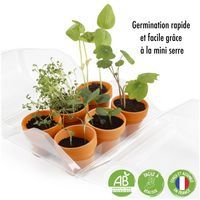 Serre de germination - Image 2