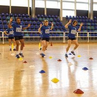 Lot de 20 plots Multi-Marker original avec support de transport - Image 5