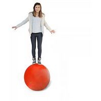 Boule d'équilibre 70 cm - 16 kg - Image 2