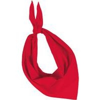 Foulard Eco rouge - Image principale