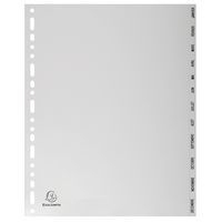 Lot de 10 Intercalaires mensuels gris janv-déc. 12 positions A4 maxi - Image principale