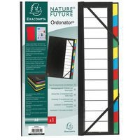 Lot de 6 trieurs rigide ordonator dos extensible 12 compartiments Noir - Image principale
