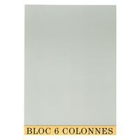 Lot de 5 Bloc de contrôle comptable 29,7x21cm 6 col. 70 feuillets - Image principale