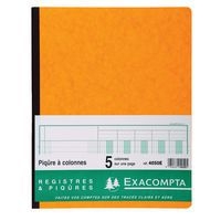 Piqûre 32x25cm 5 colonnes sur 1 page 31 lignes 80 pages - Image principale