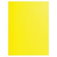 Lot de 10 paquets 25 chemises rock''s 220 double A4 ou A3 24x32cm Jaune - Image principale