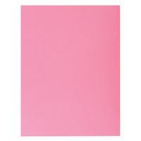 Lot de 5 paquets de 50 chemises 1 rabat super 250 - 24x32cm Rose - Image principale