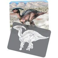 Cartes et radiographies dinosaures (24 pièces) - Image 3