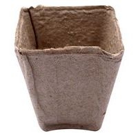 Lot de 20 pots biodégradables 8 x 8 cm - Image principale