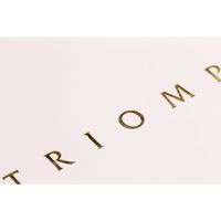Triomphe GOLD cahier blanc piqûre textile 21x29,7cm 96p ligné papier blanc 90g - Image 5
