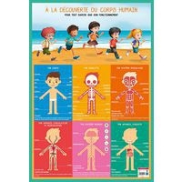 Poster 50x70cm corps humain - Image principale