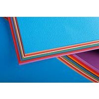 Paquet Etival Col.50x65cm 24 feuilles 160g 2x12 Ass. vi feuilles - Image principale