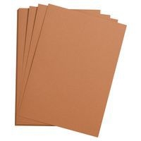 Paquet 24 feuilles Etival Color 160g 50x65 saumon - Image principale