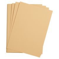 Paquet 24 feuilles Etival Color 160g 50x65 maïs - Image principale