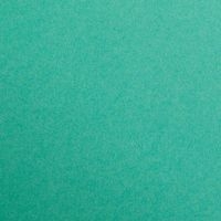 Paquet Maya 50x70cm 25 feuilles 120g vert sapin - Image principale