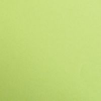 Paquet Maya 50x70cm 25 feuilles 120g vert mousse - Image principale