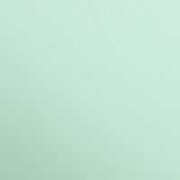 Paquet Maya 50x70cm 25 feuilles 120g vert menthe - Image principale