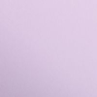 Paquet Maya 50x70cm 25 feuilles 120g lilas - Image principale