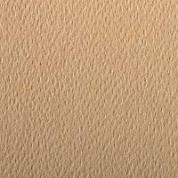 Paquet 24 feuilles Etival Color 160g 50x65 camel - Image 2