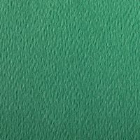 Paquet 24 feuilles Etival Color 160g 50x65 vert foncé - Image 2
