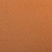 Paquet 24 feuilles Etival Color 160g 50x65 rouille - Image 2