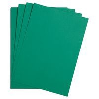 Paquet Maya 50x70cm 25 feuilles 120g vert sapin - Image 2