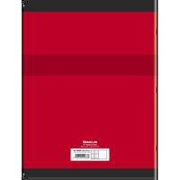 CONQUERANT Cahier de Travaux Pratiques 24x32cm Grands Carreaux Seyès/Uni Blanc 96 Pages Agrafées Couverture Ca - Image 3