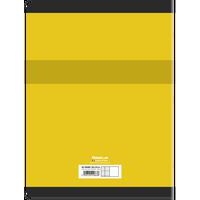 CONQUERANT Cahier de Travaux Pratiques 24x32cm Grands Carreaux Seyès/Uni Blanc 96 Pages Agrafées Couverture Ca - Image 5