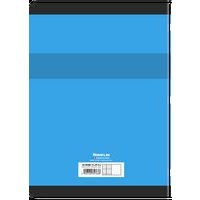 CONQUERANT Cahier de Travaux Pratiques A4 Grands Carreaux Seyès/Uni Blanc 120 Pages Agrafées Couverture Carte - Image 7