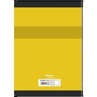 CONQUERANT Cahier de Travaux Pratiques A4 Grands Carreaux Seyès/Uni Blanc 120 Pages Agrafées Couverture Carte - Image 5