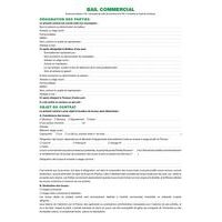 Lot de 5 Dossier location commerciale - Image principale