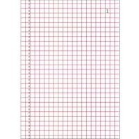 Lot de 10 Manifold quadrillé 5x5 14,8x10,5cm 50 feuil. dupli autocop. - Image 4